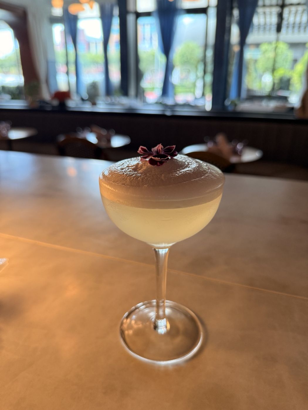 A foamy cocktail in a coupe glass with a flower garnish